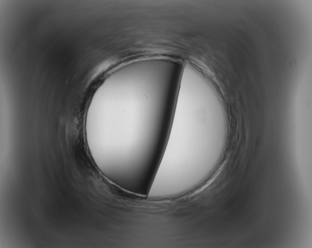 X0000085271163200703090909