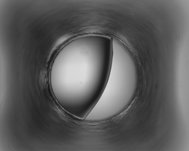 X0000085271164200703090909