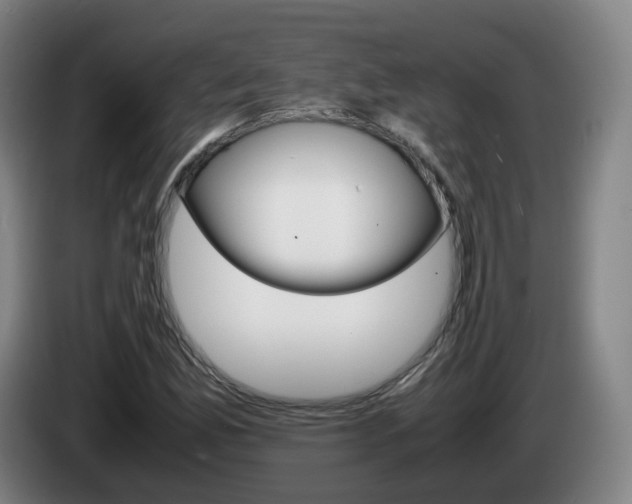 X0000085271165200703090909