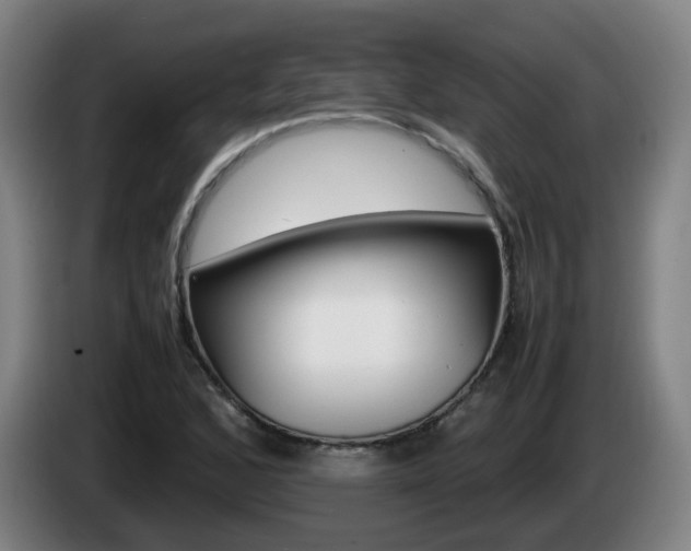 X0000085271168200703090909