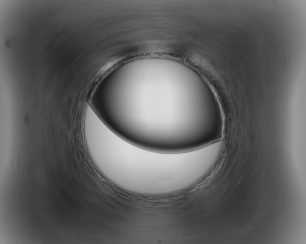 X0000085271169200703090909