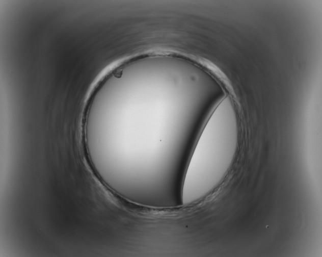 X0000085271183200703090909
