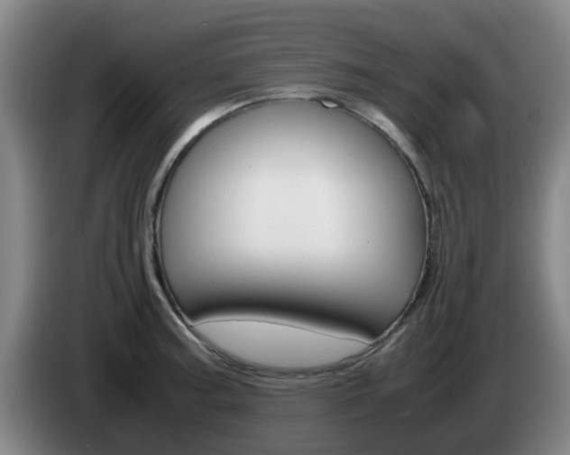X0000085271187200703090909