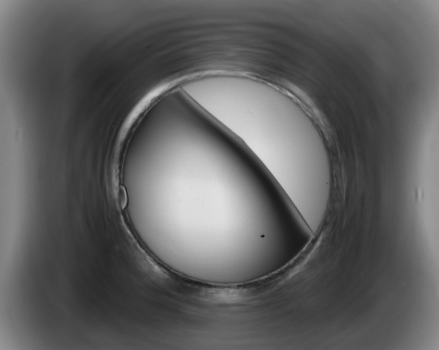 X0000085271188200703090909