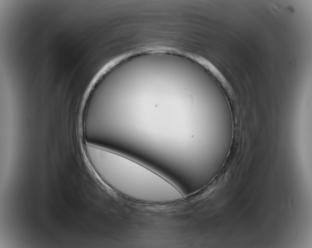 X0000085271191200703090909