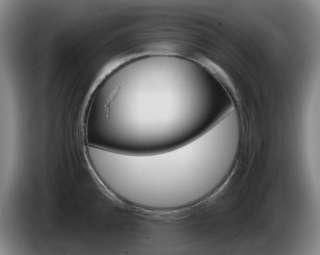 X0000085271192200703090909