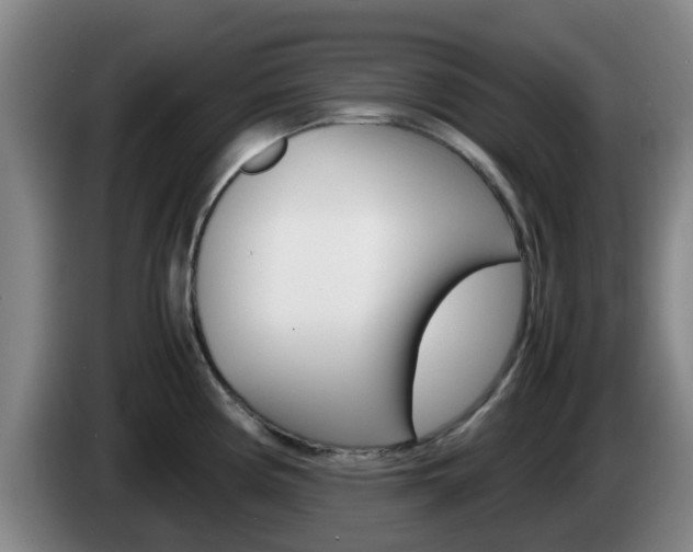 X0000085271194200703090909