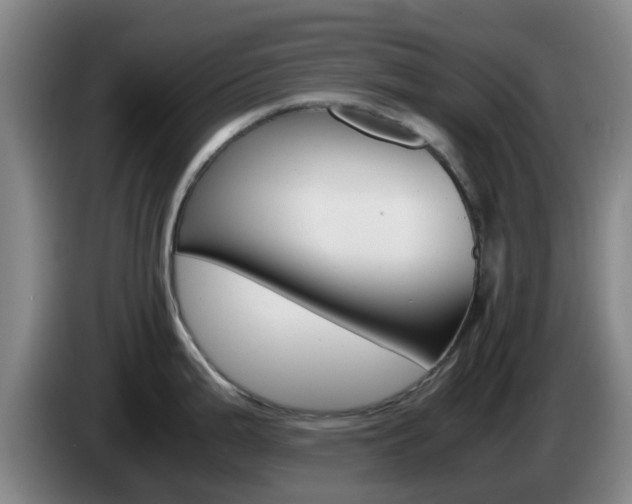 X0000085271199200703090909