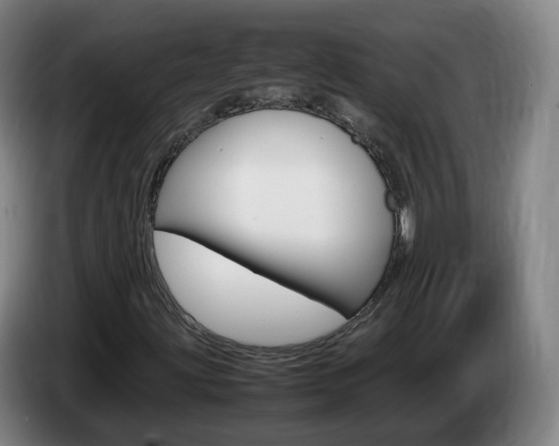 X0000085271203200703090908