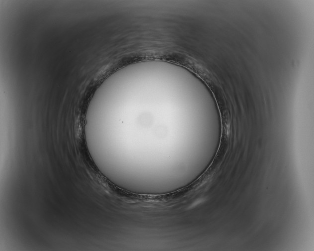 X0000085271204200703090908