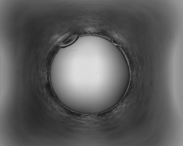 X0000085271205200703090908