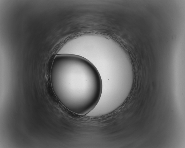 X0000085271206200703090908