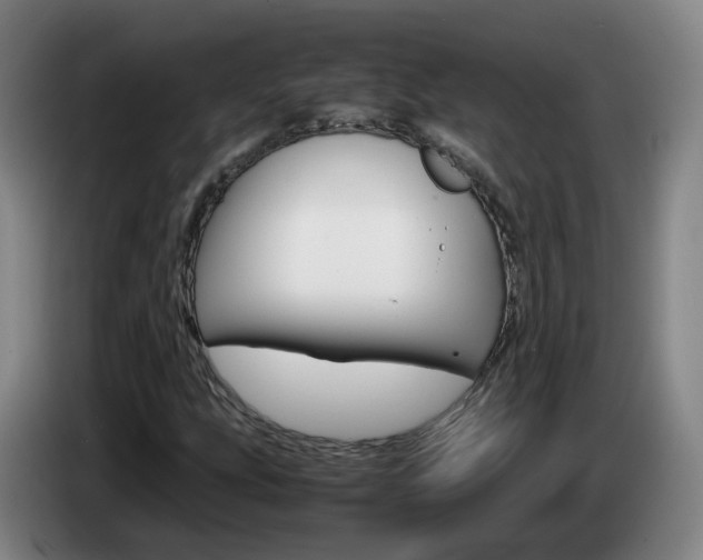 X0000085271207200703090908
