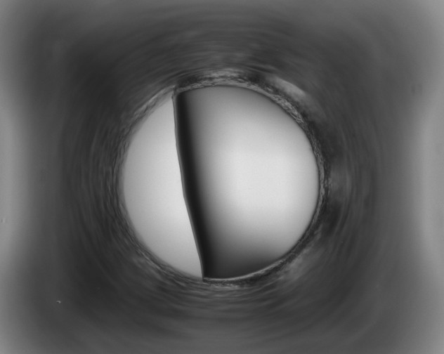 X0000085271209200703090908