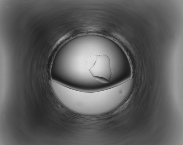 X0000085271210200703090908