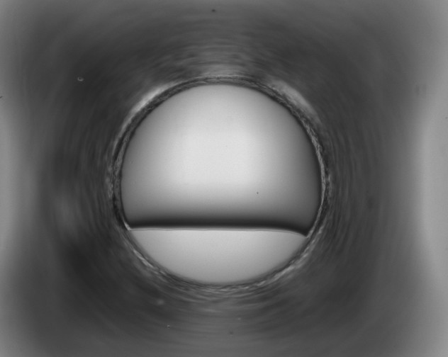 X0000085271212200703090908