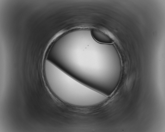 X0000085271229200703090909