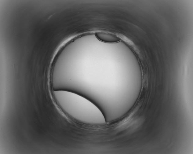 X0000085271231200703090909