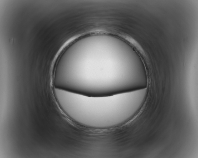 X0000085271232200703090909