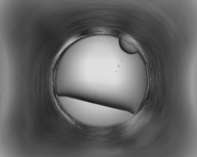 X0000085271235200703090909