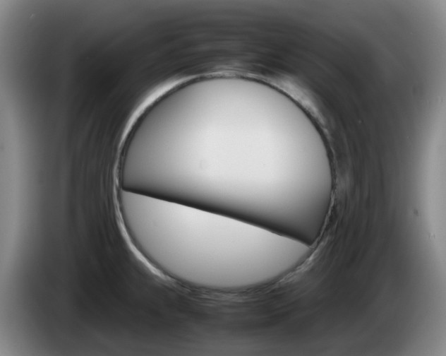 X0000085271239200703090909