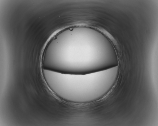 X0000085271240200703090909