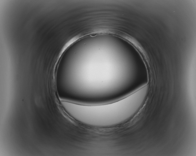X0000085271242200703090909