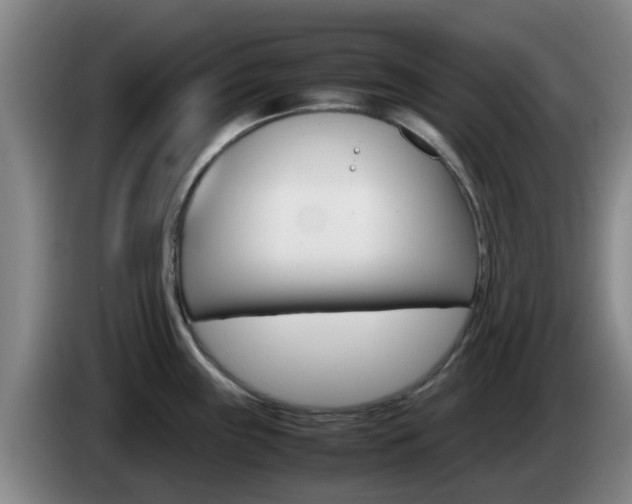 X0000085271243200703090909