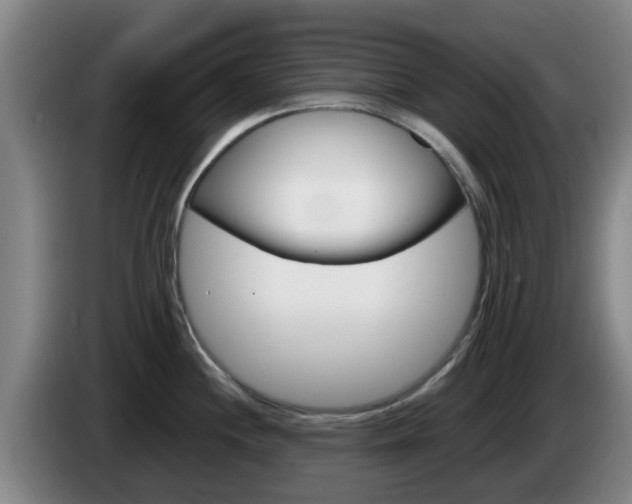 X0000085271244200703090909