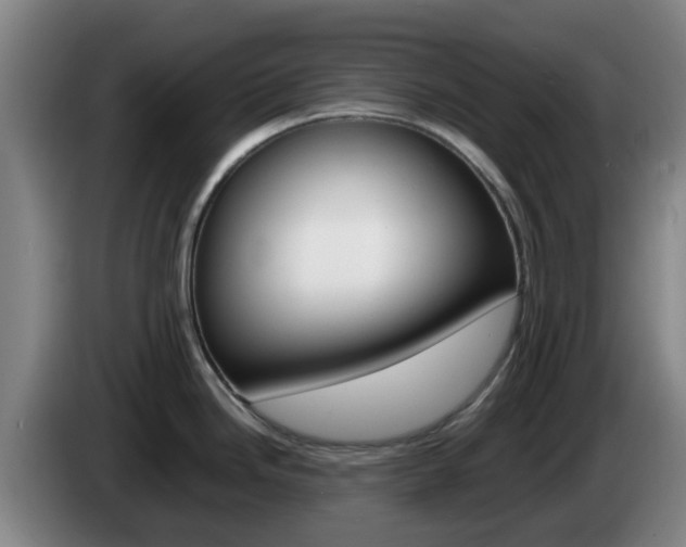 X0000085271246200703090909