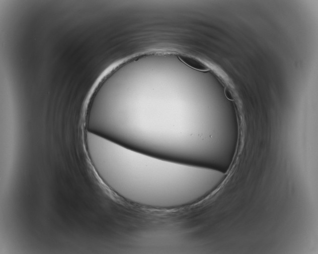 X0000085271248200703090909