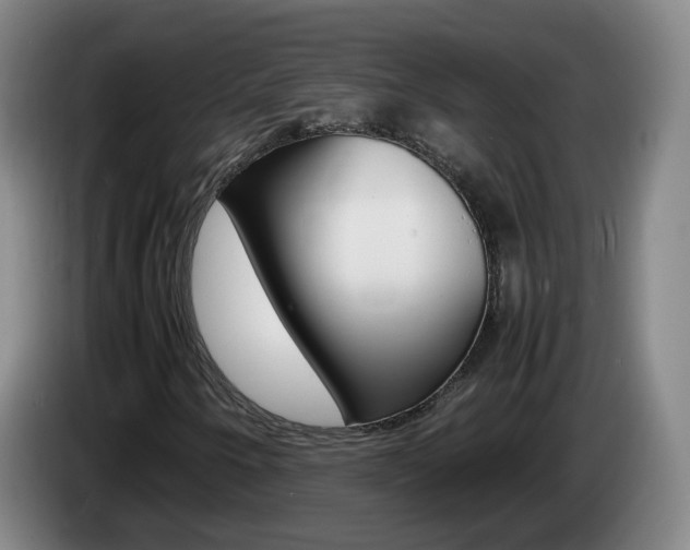 X0000085271250200703090908