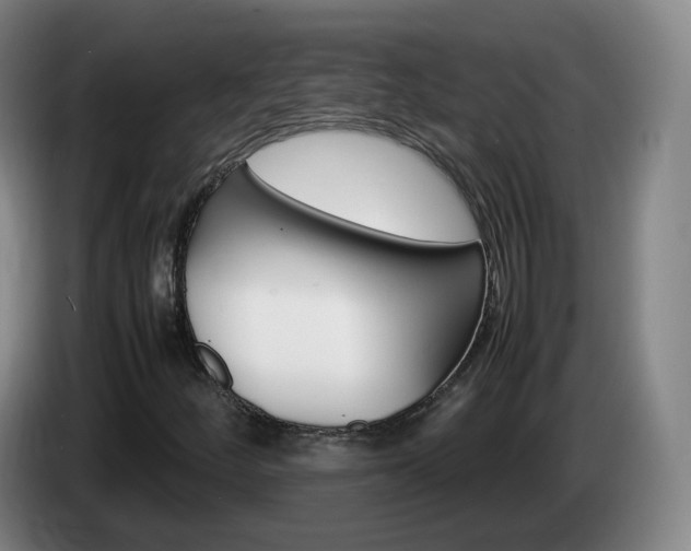 X0000085271252200703090908