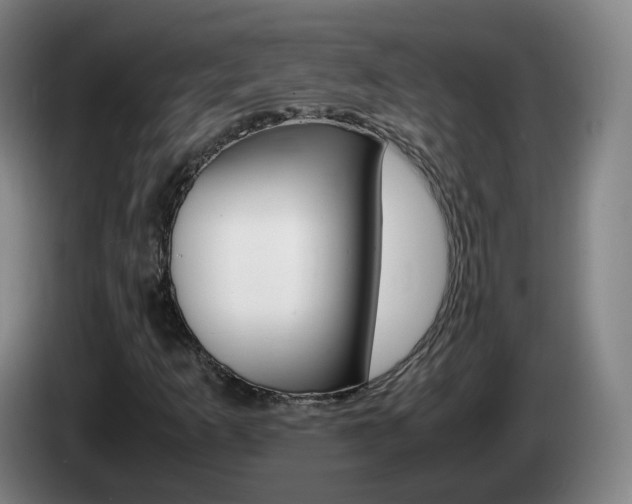 X0000085271253200703090908