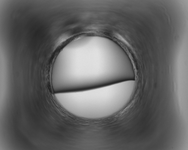 X0000085271259200703090908