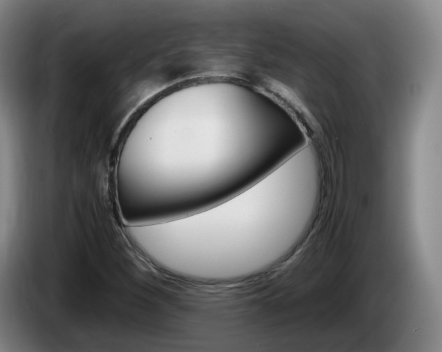 X0000085271260200703090908