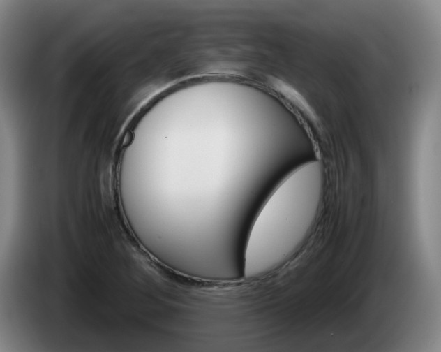 X0000085271268200703090908