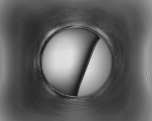 X0000085271272200703090908