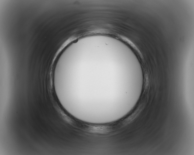 X0000085271274200703090908