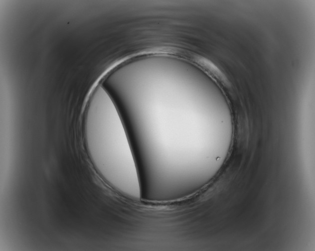 X0000085271276200703090908