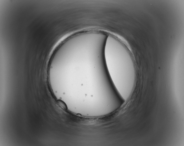 X0000085271279200703090908