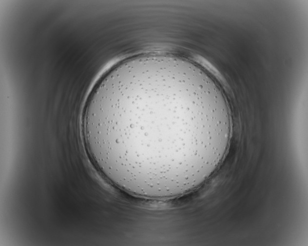 X0000085271283200703090908