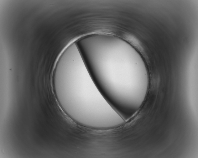 X0000085271284200703090908