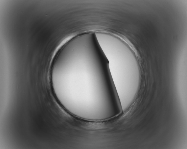 X0000085271285200703090908