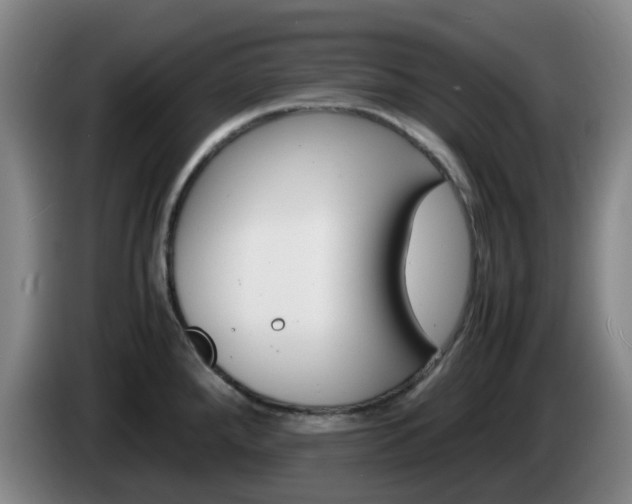 X0000085271288200703090908
