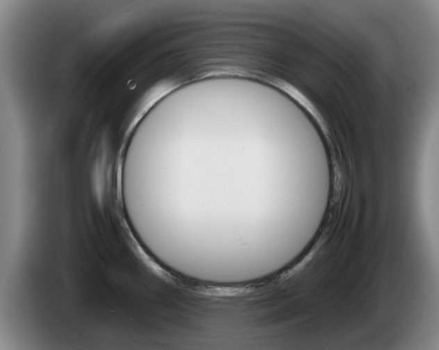 X0000085271290200703090908
