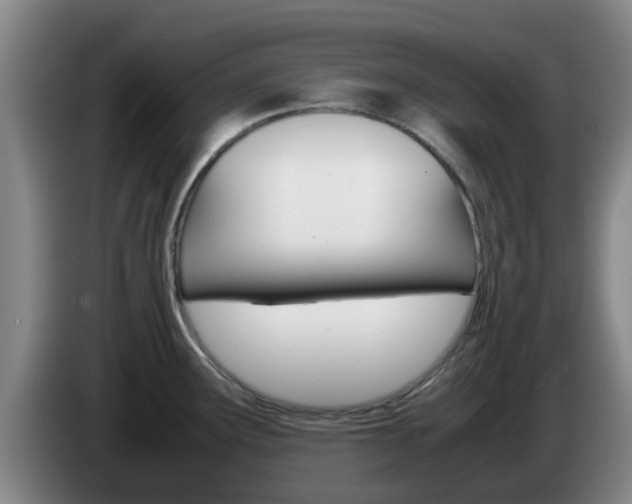 X0000085271291200703090908