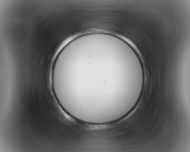 X0000085271294200703090908