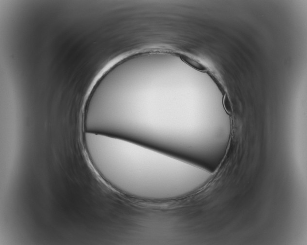 X0000085271295200703090908