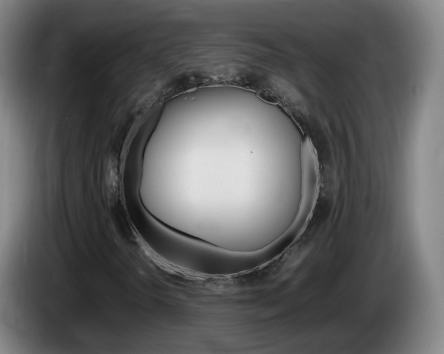 X0000085271298200703090907